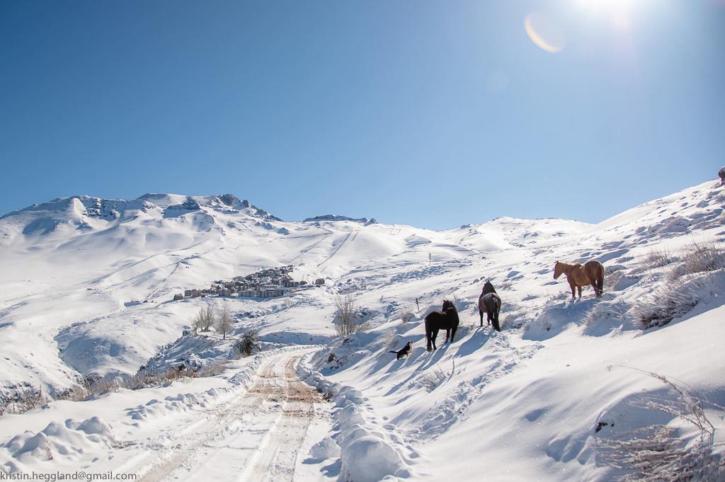 Lodge Cordillera Валье-Невадо Экстерьер фото